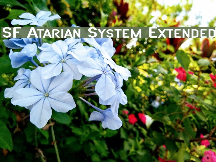SF Atarian System Extended फ़ॉन्ट examples