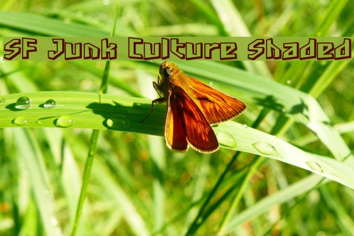 SF Junk Culture Shaded Polices examples