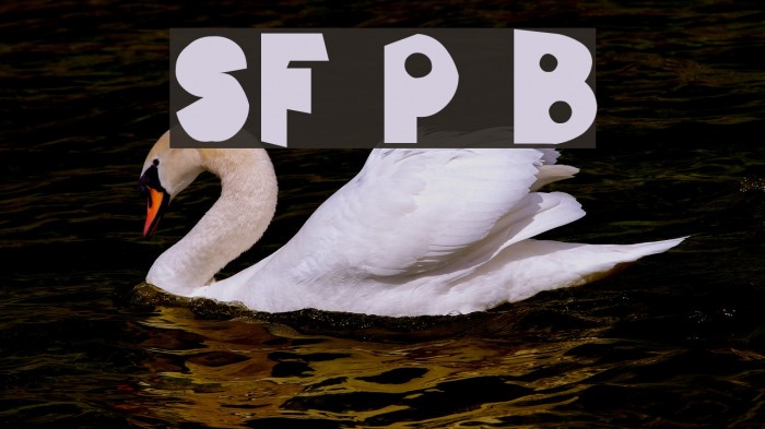 SF Pale Bottom Caratteri examples