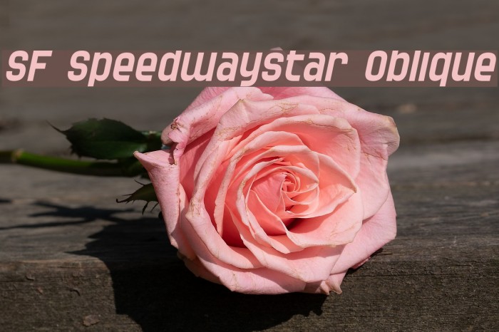SF Speedwaystar Oblique फ़ॉन्ट examples