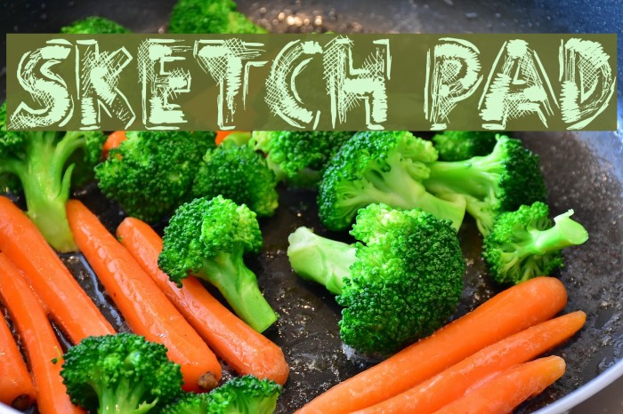 Sketch Pad لخطوط تنزيل examples