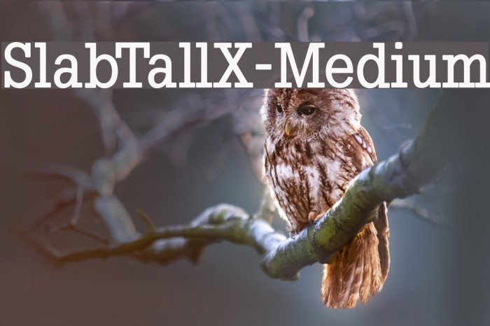 SlabTallX-Medium Шрифта examples