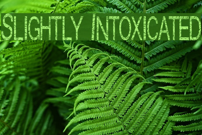 Slightly Intoxicated Polices examples