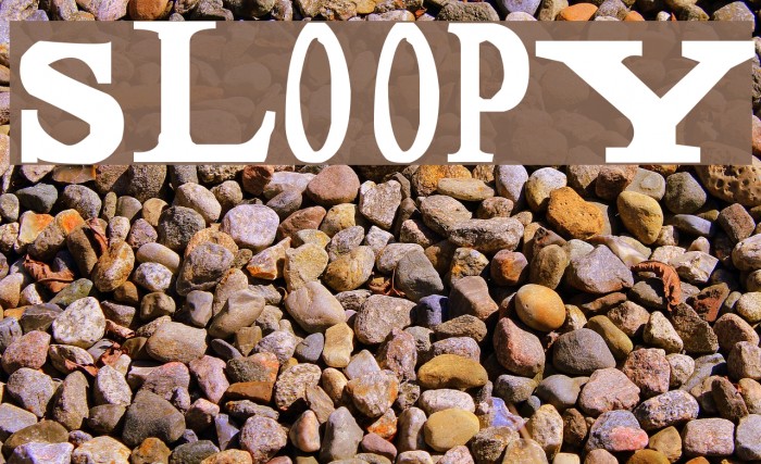 Sloopy Polices examples