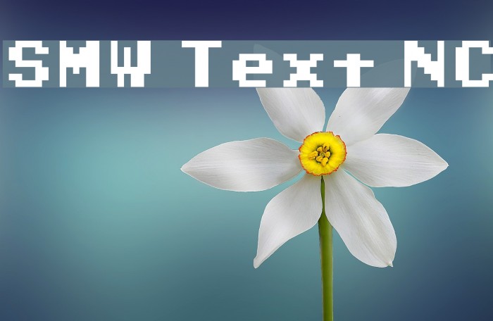 SMW Text NC لخطوط تنزيل examples