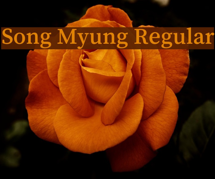 Song Myung Regular फ़ॉन्ट examples