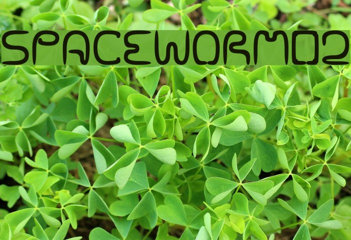 SPACEWORM02 لخطوط تنزيل examples