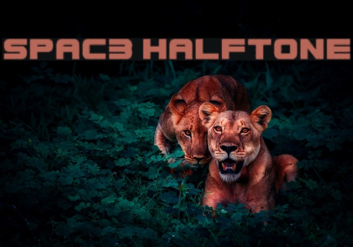 Spac3 halftone Caratteri examples