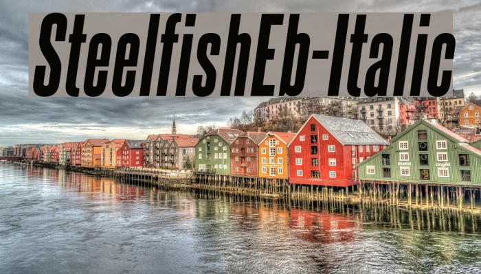 SteelfishEb-Italic لخطوط تنزيل examples