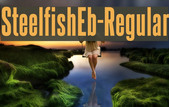SteelfishEb-Regular Polices examples