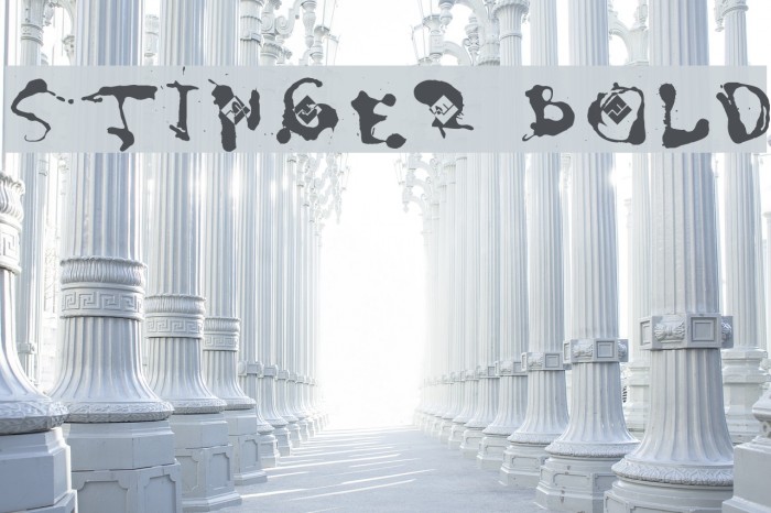 Stinger Bold Polices examples