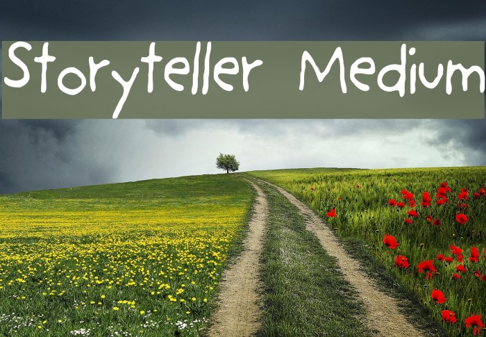 Storyteller Medium Fuentes examples