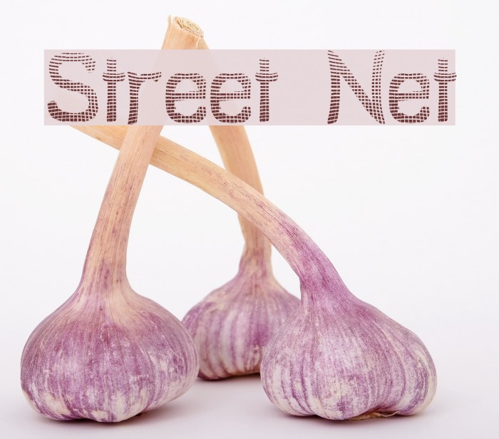 Street Net لخطوط تنزيل examples
