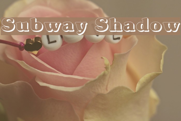 Subway Shadow Fuentes examples