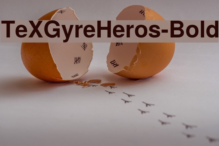 TeXGyreHeros-Bold Schriftart examples