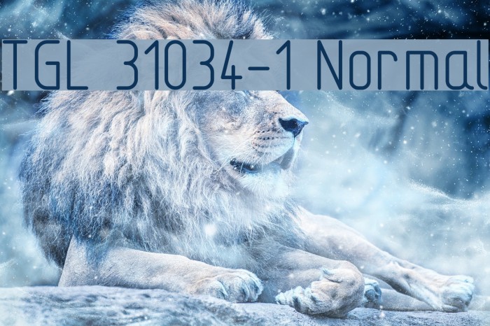 TGL 31034-1 Normal Polices examples