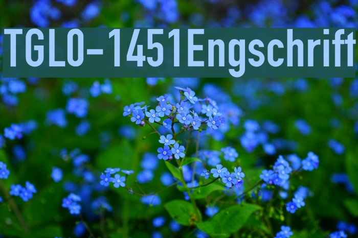 TGL0-1451Engschrift फ़ॉन्ट examples