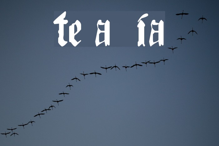The Art of Illuminating 字体 examples