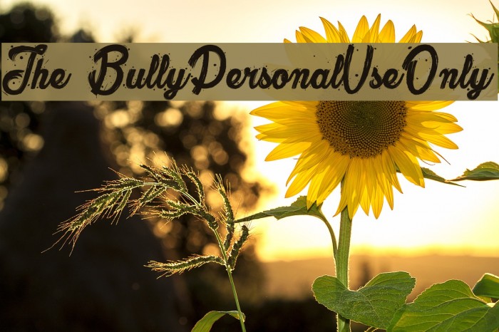 The Bully_PersonalUseOnly Fuentes examples