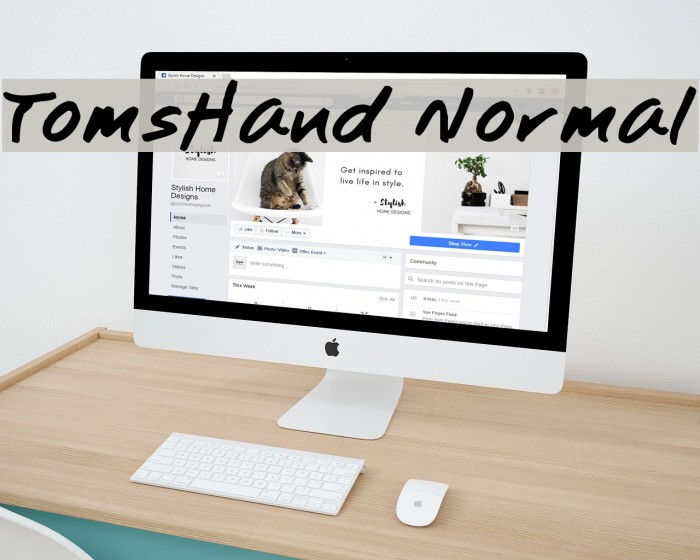TomsHand Normal Schriftart examples