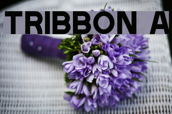 Tribbon A Polices examples