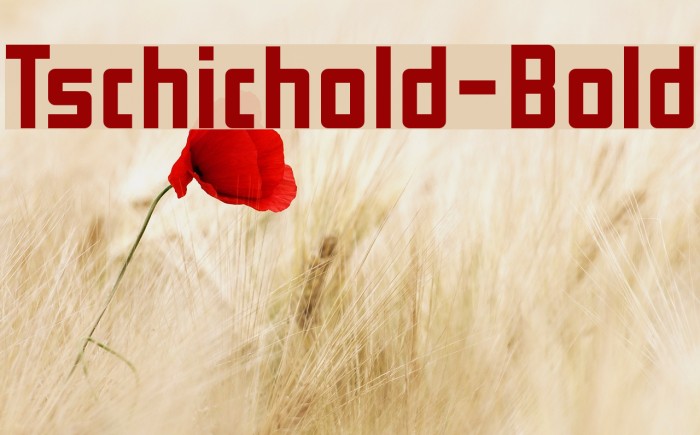 Tschichold-Bold لخطوط تنزيل examples