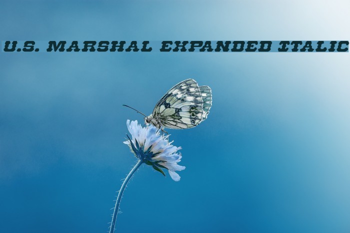 U.S. Marshal Expanded Italic Fuentes examples