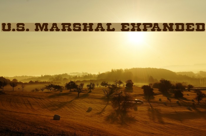 U.S. Marshal Expanded Шрифта examples