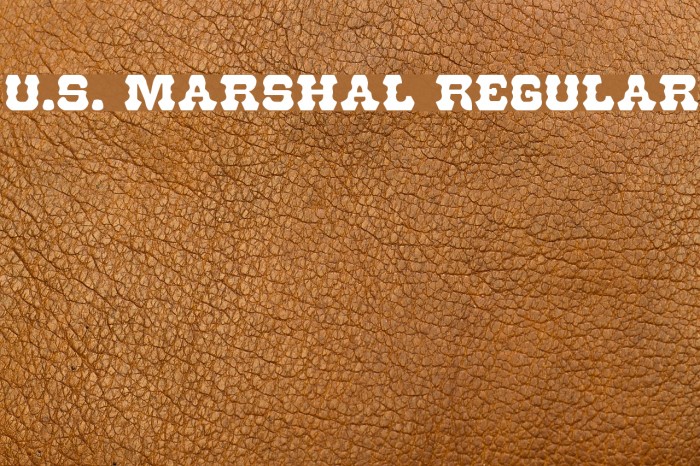 U.S. Marshal Regular फ़ॉन्ट examples
