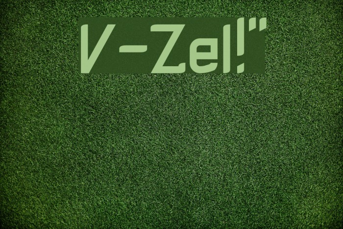V-Zel!` Шрифта examples