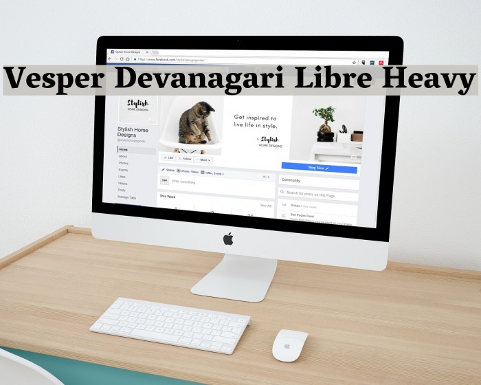 Vesper Devanagari Libre Heavy Schriftart examples