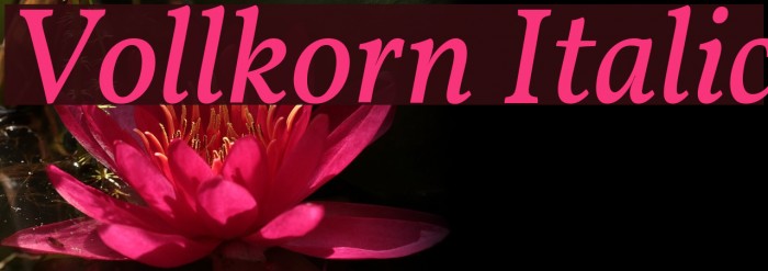 Vollkorn Italic Caratteri examples