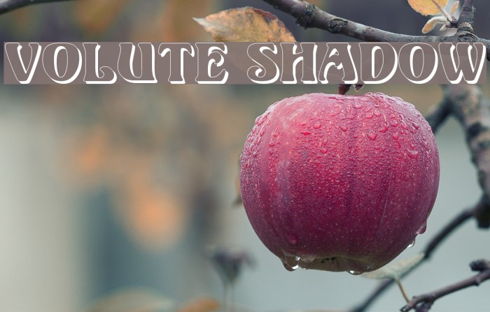 Volute Shadow फ़ॉन्ट examples