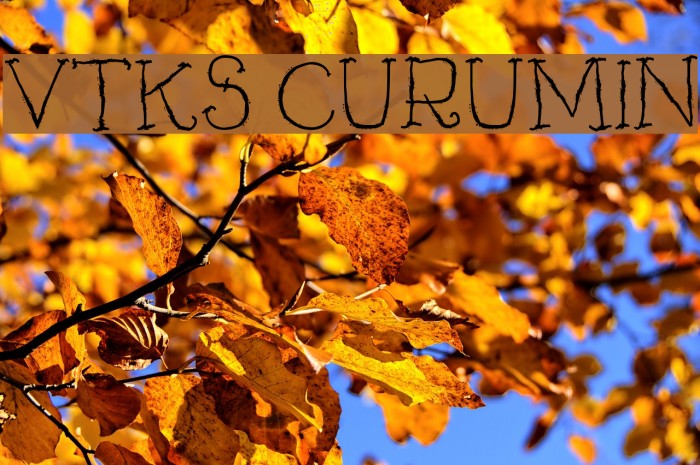 Vtks Curumin Fuentes examples