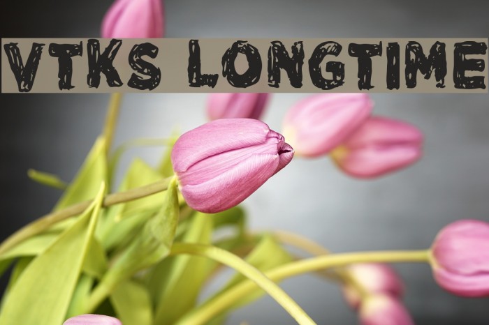 Vtks LongTime फ़ॉन्ट examples