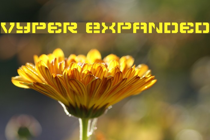 Vyper Expanded 字体 examples