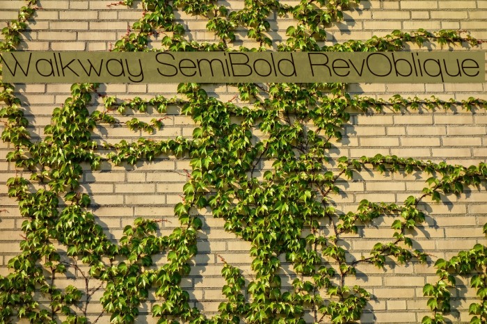 Walkway SemiBold RevOblique لخطوط تنزيل examples