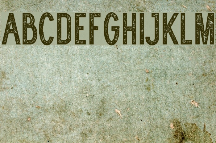 WOLF GANG ROUGH VINTAGE Font examples