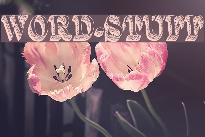 Word-Stuff Caratteri examples