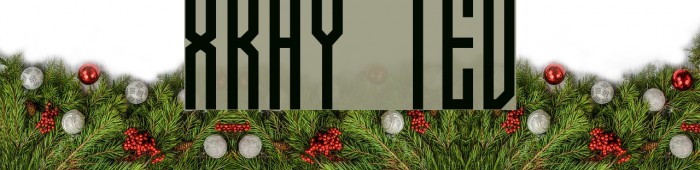 Xray Ted Font examples