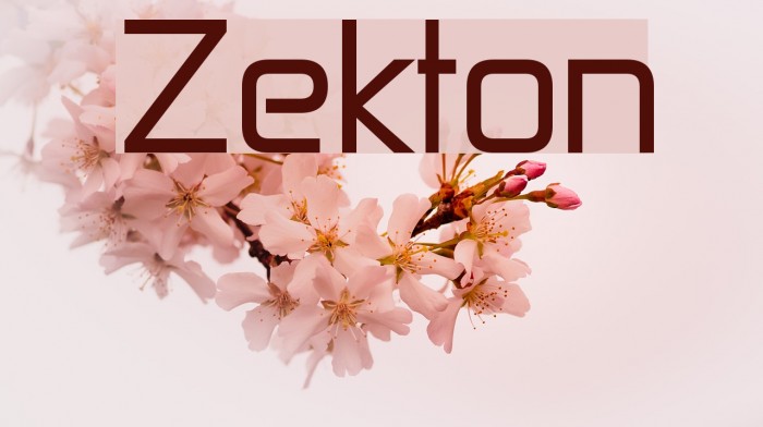 Zekton फ़ॉन्ट examples