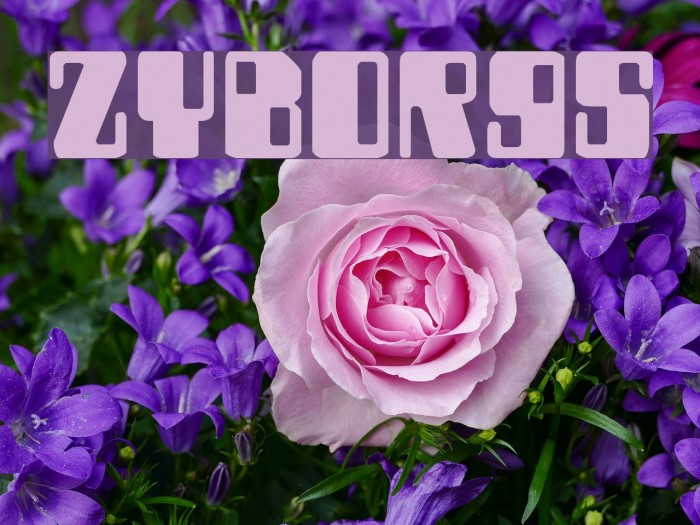 Zyborgs Caratteri examples