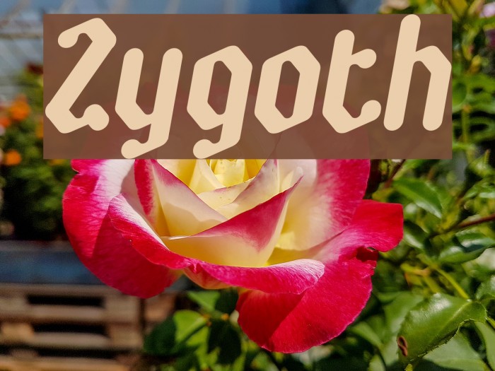 Zygoth Шрифта examples