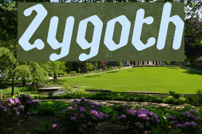 Zygoth Шрифта examples